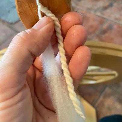 Washed and Picked Merino Fleece (NY)