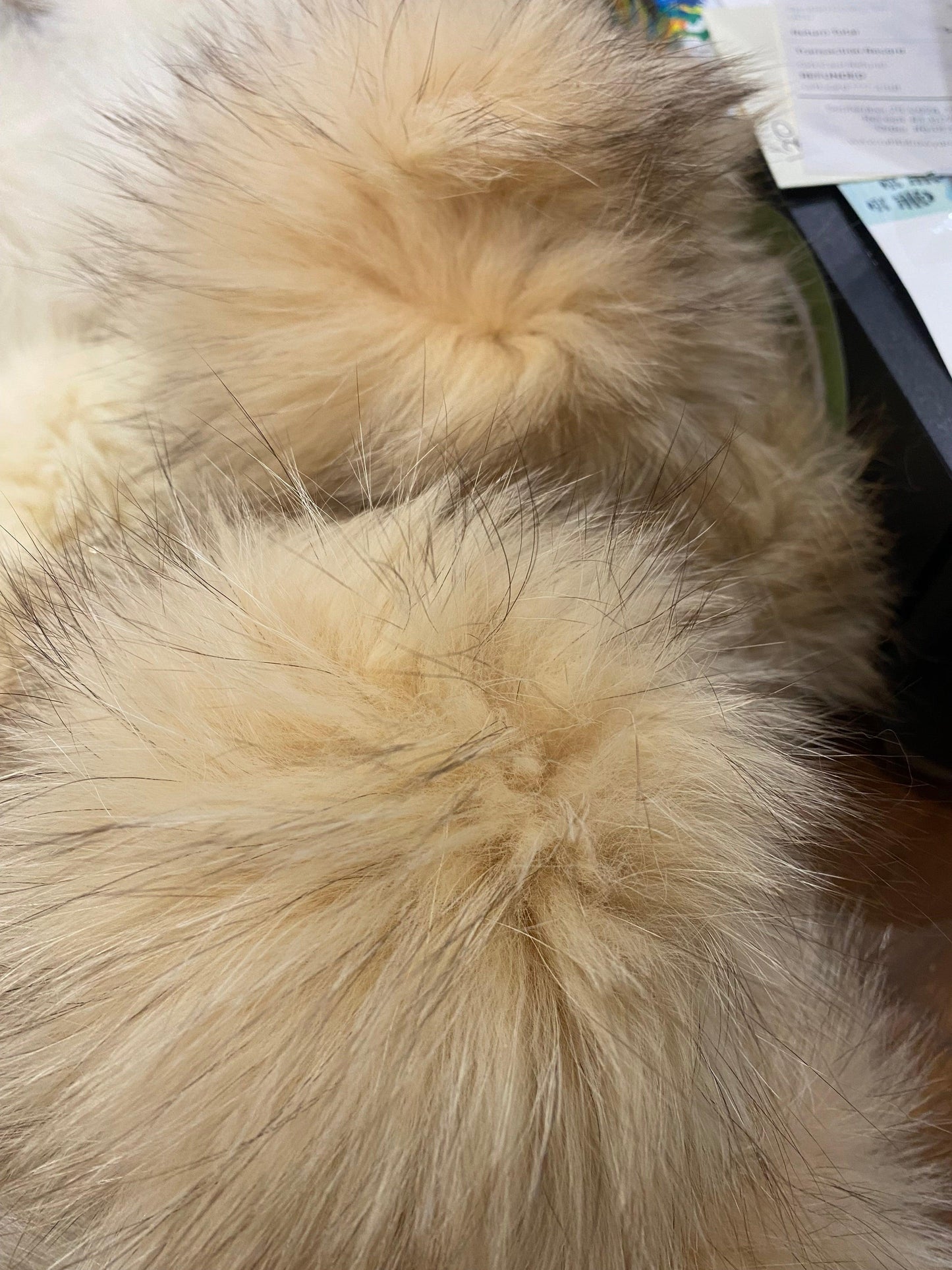 Vintage Fur PomPom