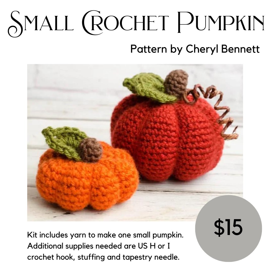 Small Crocheted Pumpkin Kit