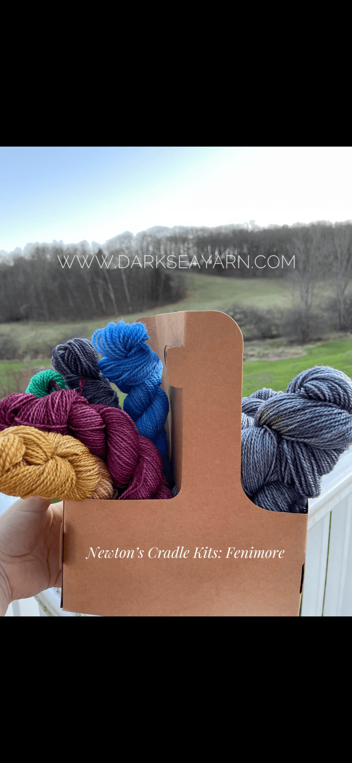 Newton's Cradle Kit - Small Batch Hand-dyed Yarn + Pattern (NY)