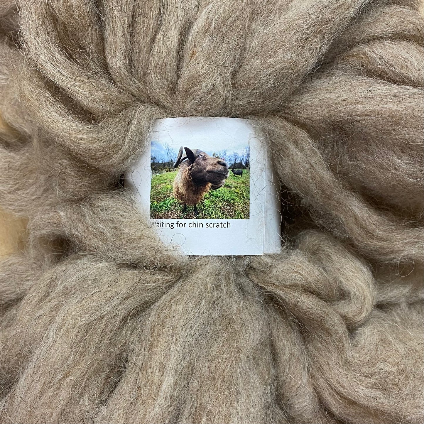 Icelandic Moorit Roving - Natural Color (NY)