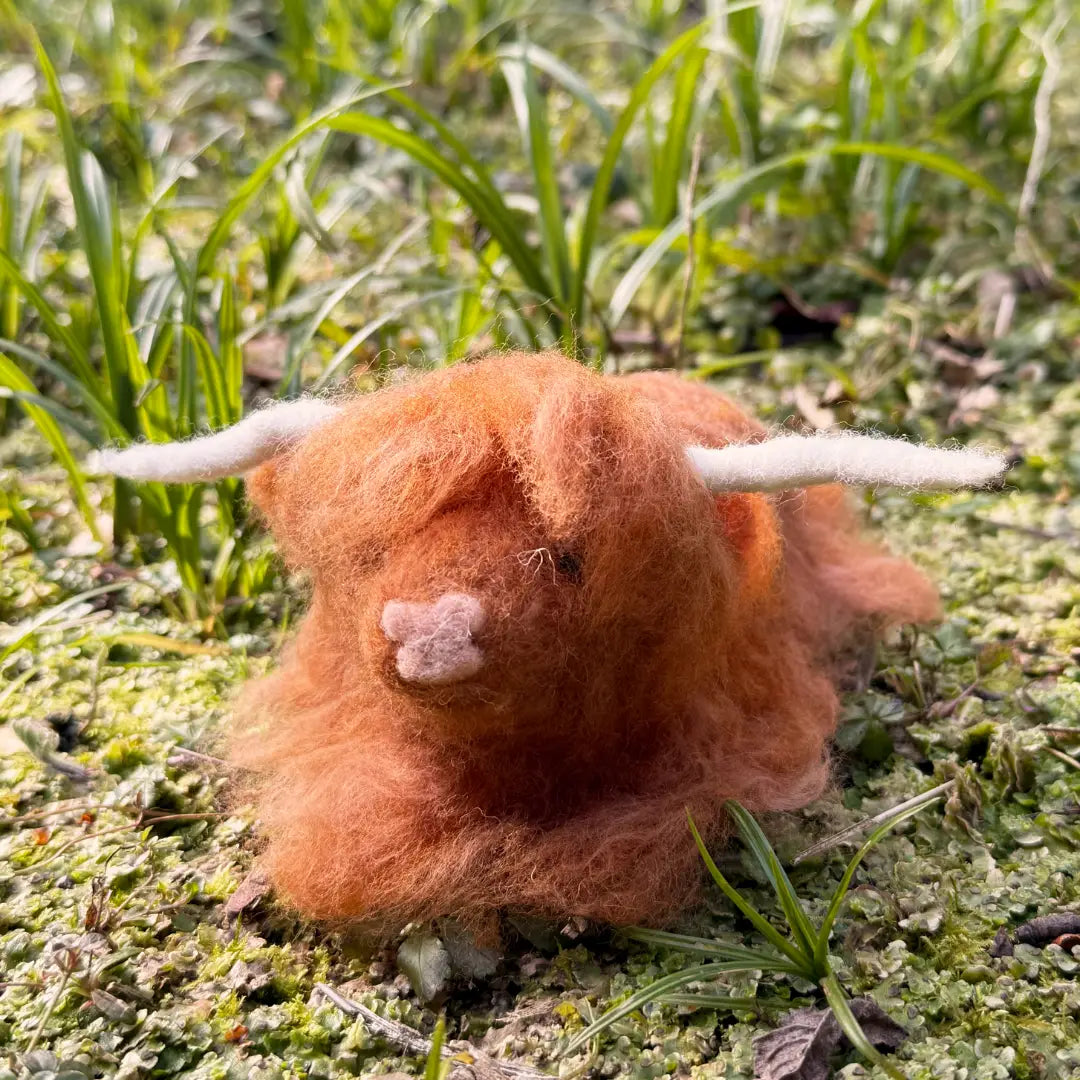 Needle Felting Kits from The Makerss