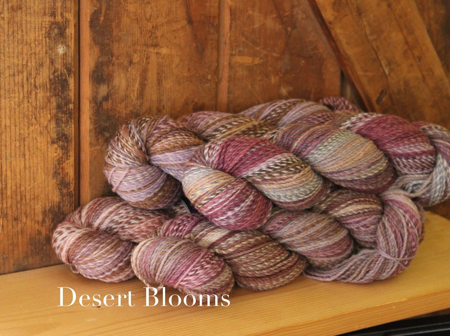 Helix DK - US Rambouilet/Targhee