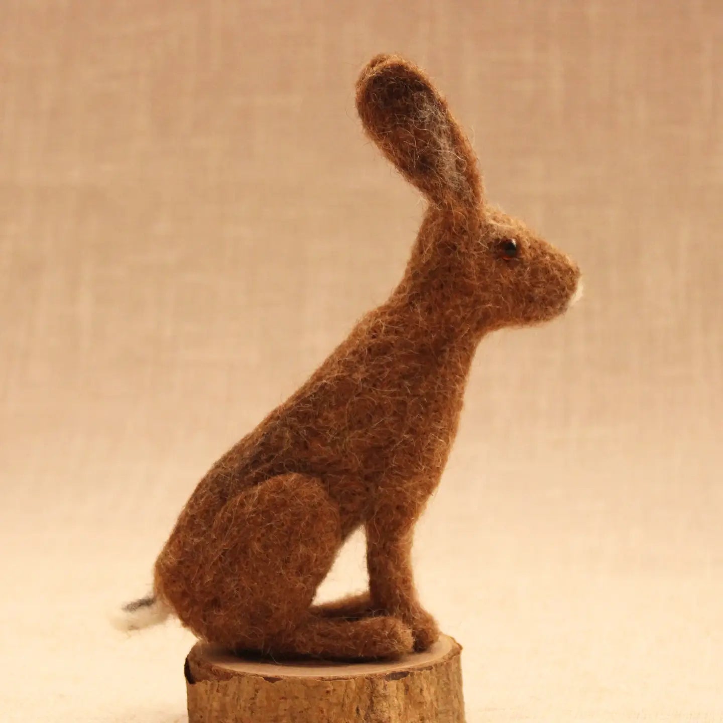 Needle Felting Kits from The Makerss