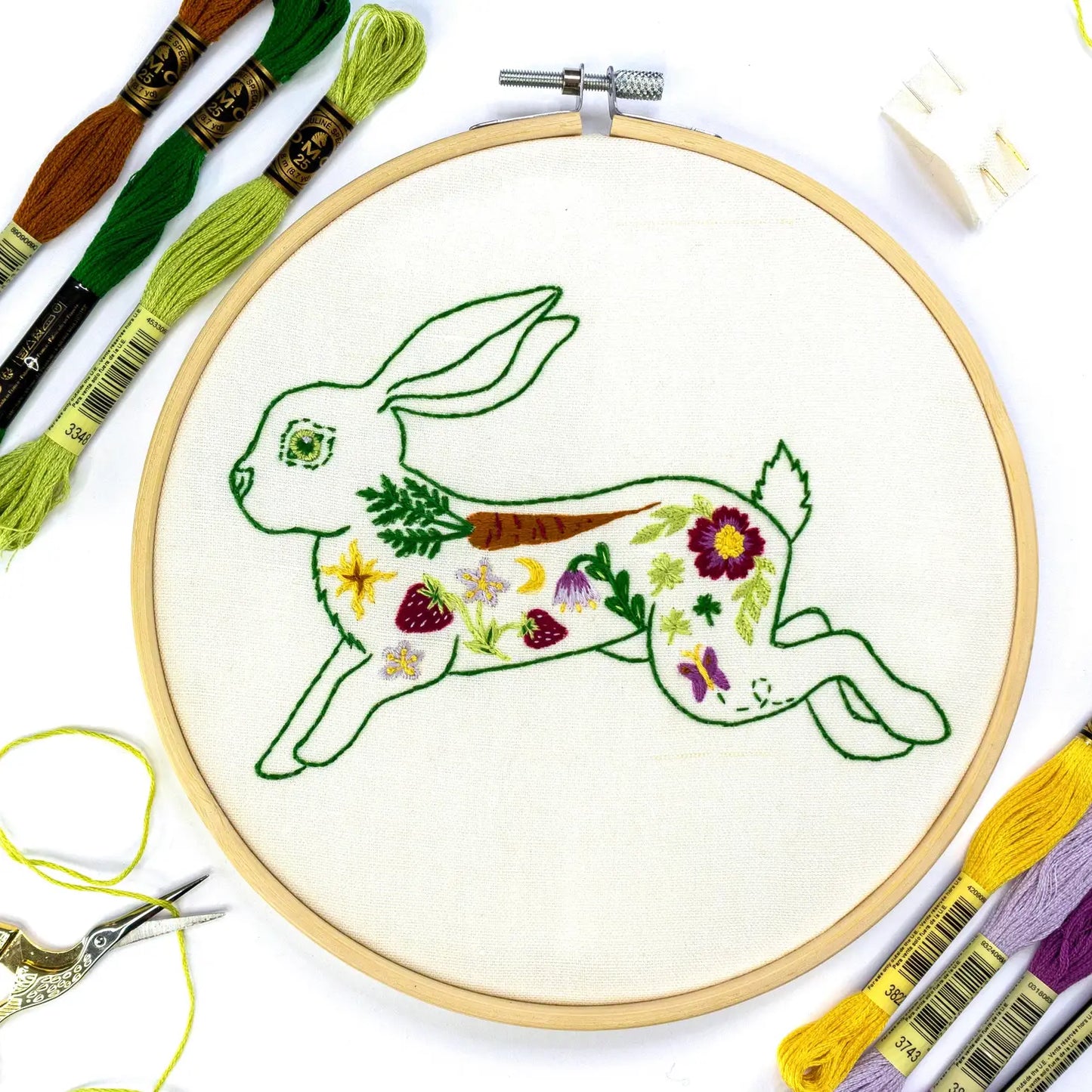 Embroidery Kit - Bug Eyed