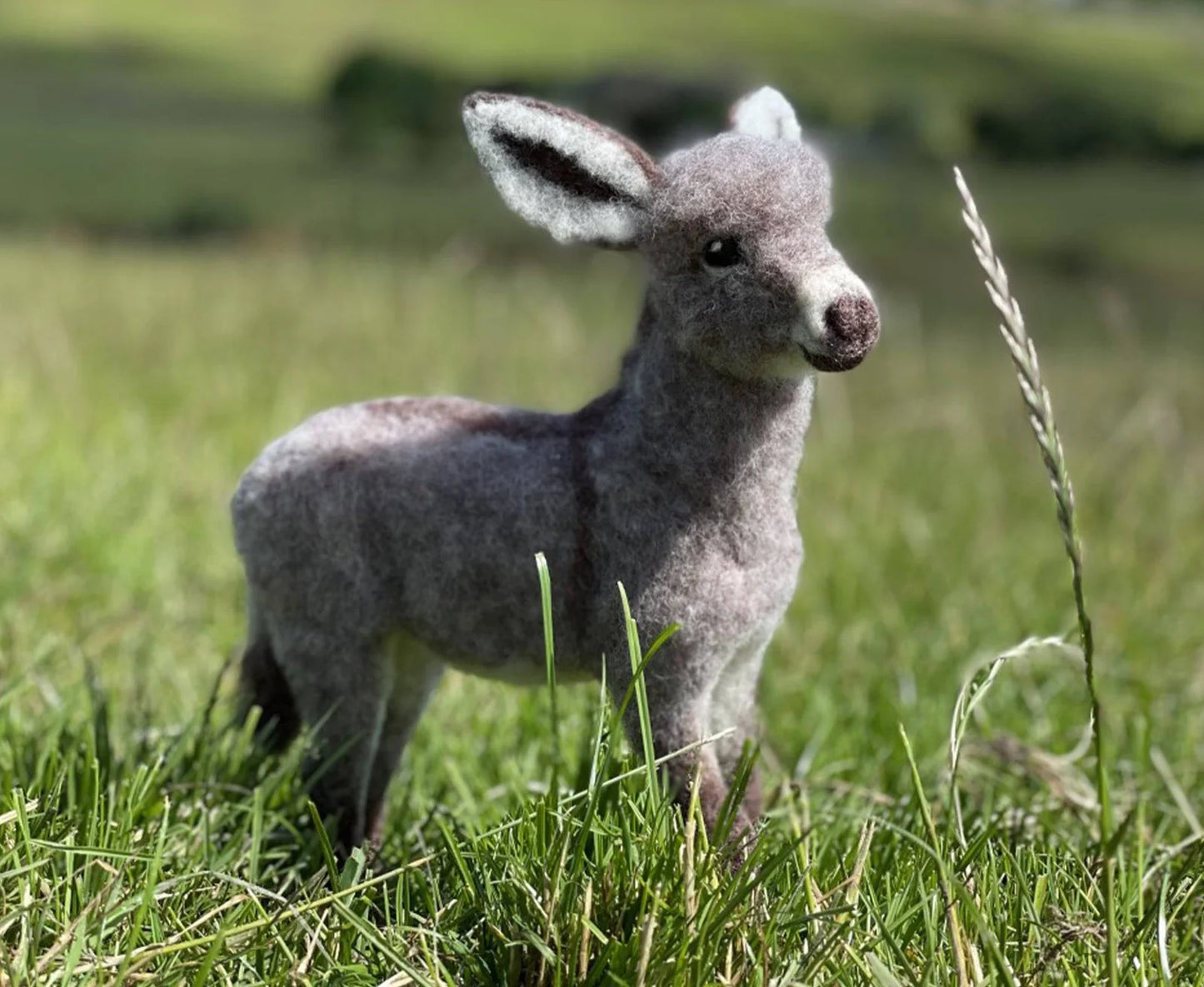 Needle Felting Kits