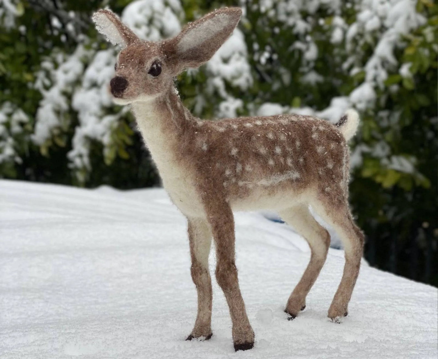 Needle Felting Kits