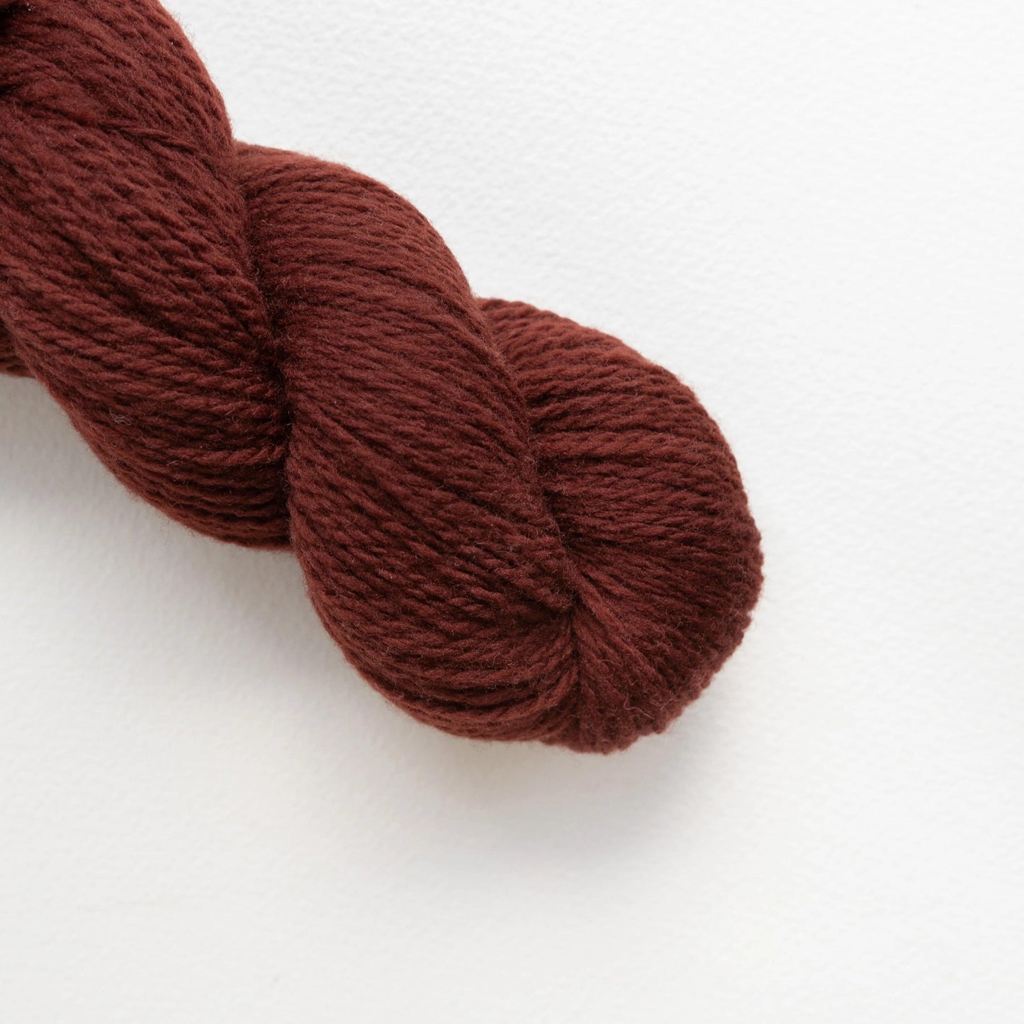 American Delaine Merino