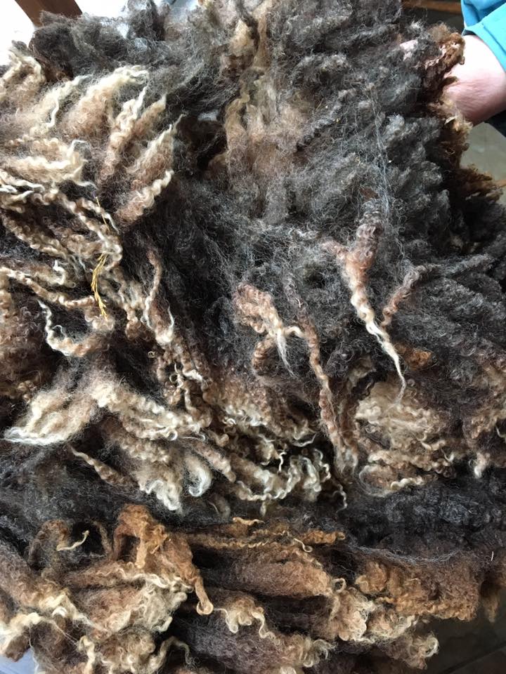 Border Leicester/Merino/Sari Silk Roving - 4 oz- Pennsylvania