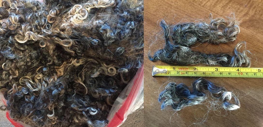 Empire DK Yarn (NY)