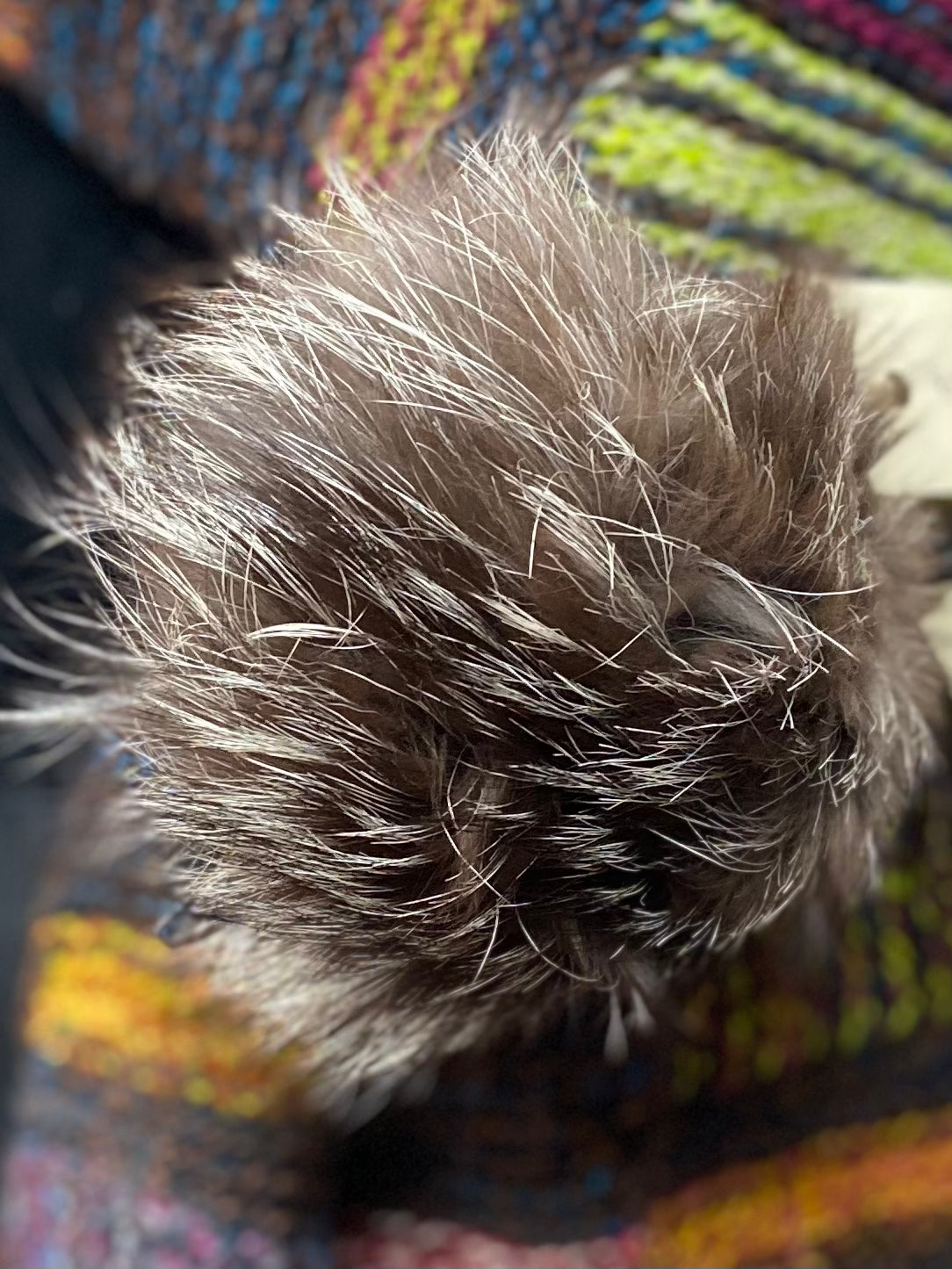 Vintage Fur PomPom