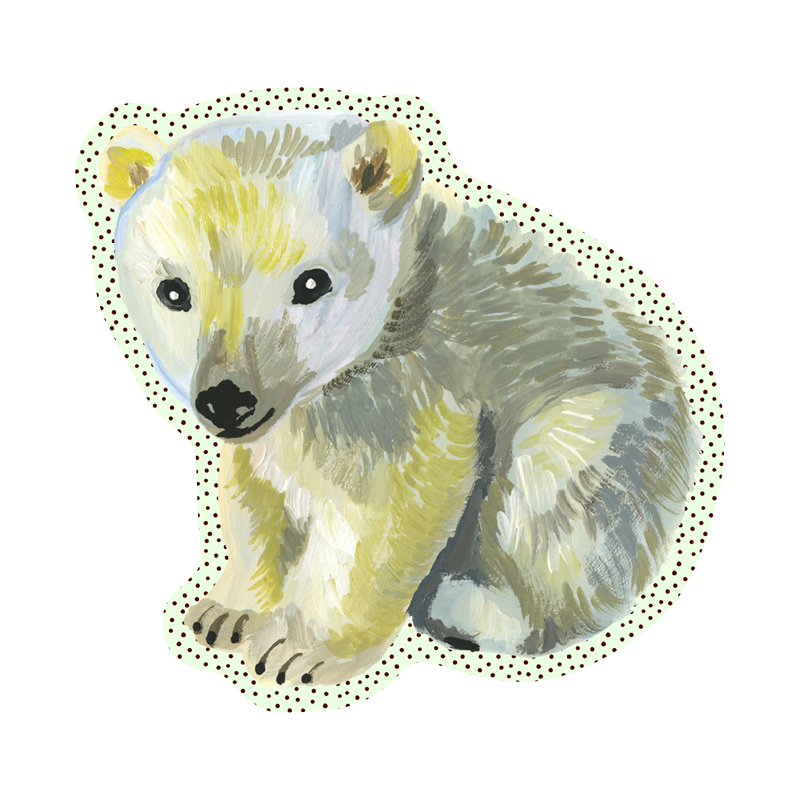 NOSO Patches