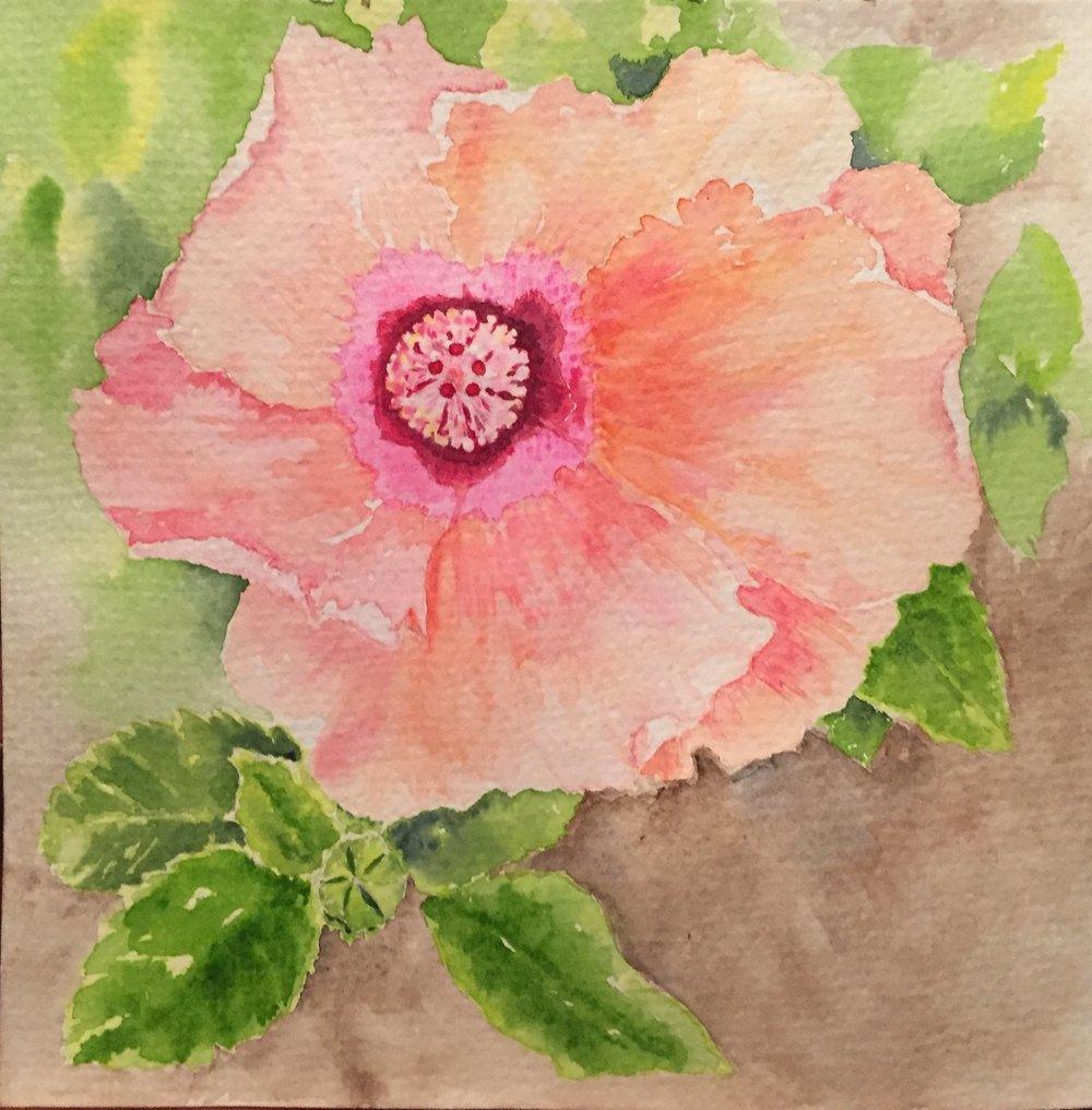 Beth Landin Watercolor Cards (NY)