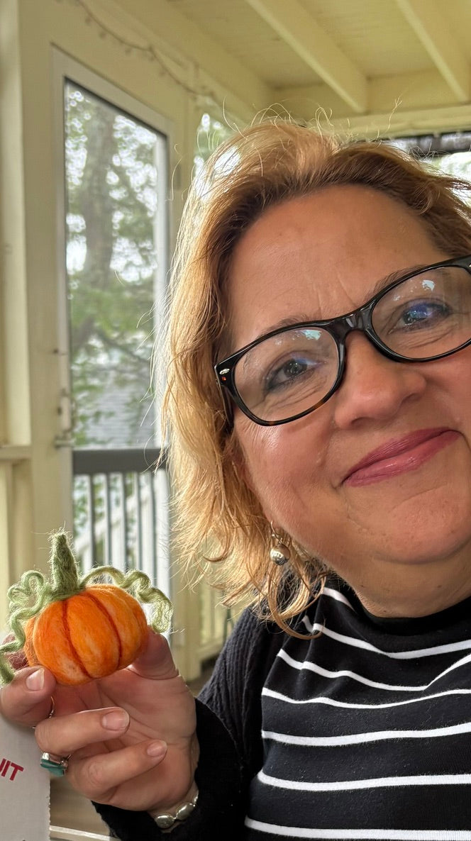 Harvest Your Own Heirloom: Needle Felted Pumpkin Kit with Video Tutorial