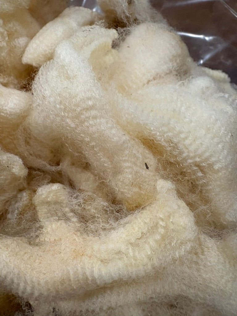 Lanolin-rich Washed Cormo Locks - by the ounce (NY)
