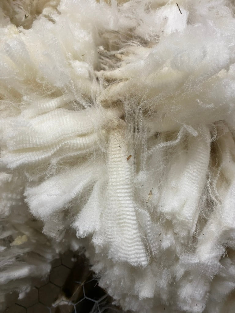 Close-up of white textured material resembling cotton or fleece
