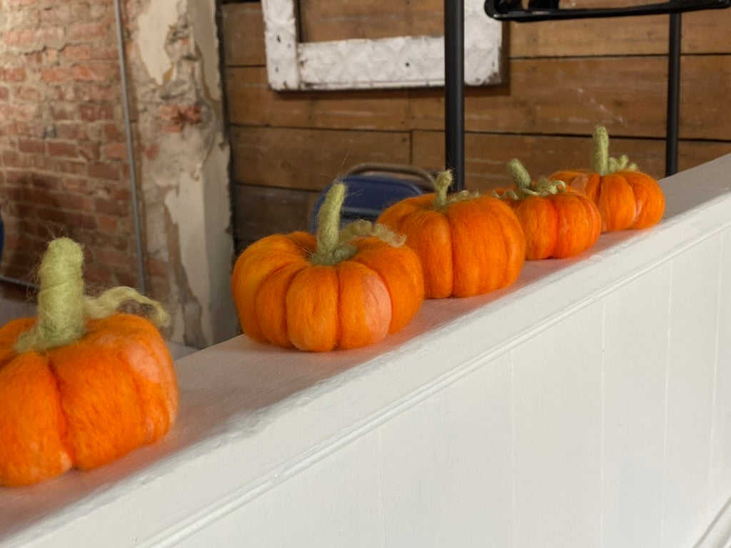 Harvest Your Own Heirloom: Needle Felted Pumpkin Kit with Video Tutorial