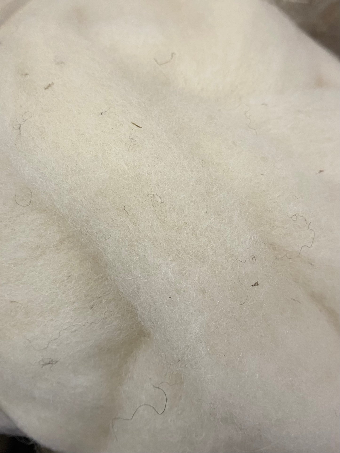 Crossbreed Batts, Roving or Fleece - Natural Colors (NY)