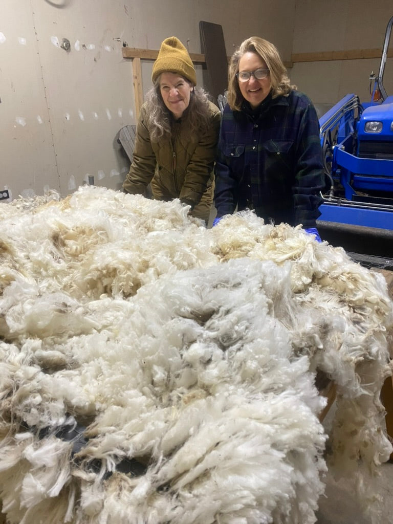 two women with table of newly shorn fleece