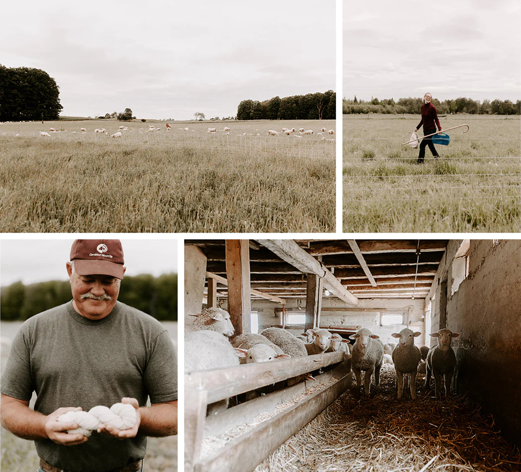 BayBlend DK - 70% Targhee-Polypay / 30% Huacaya Alpaca (NY, MI)