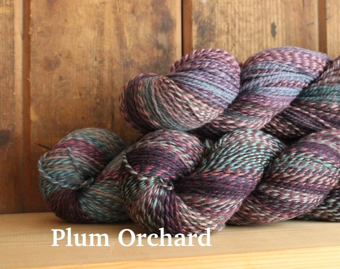 Helix DK - US Rambouilet/Targhee
