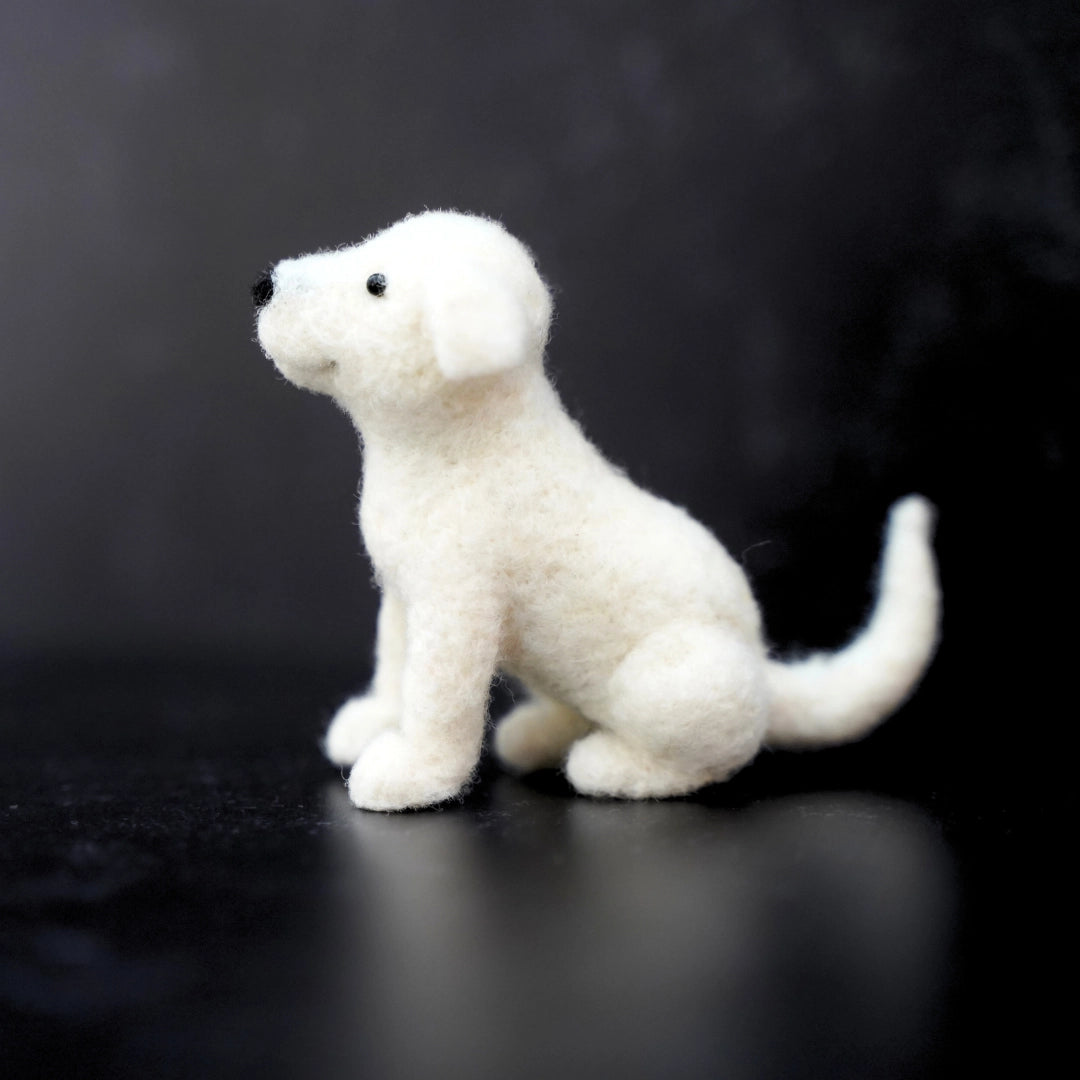 Needle Felting Kits (US-N Dakota)