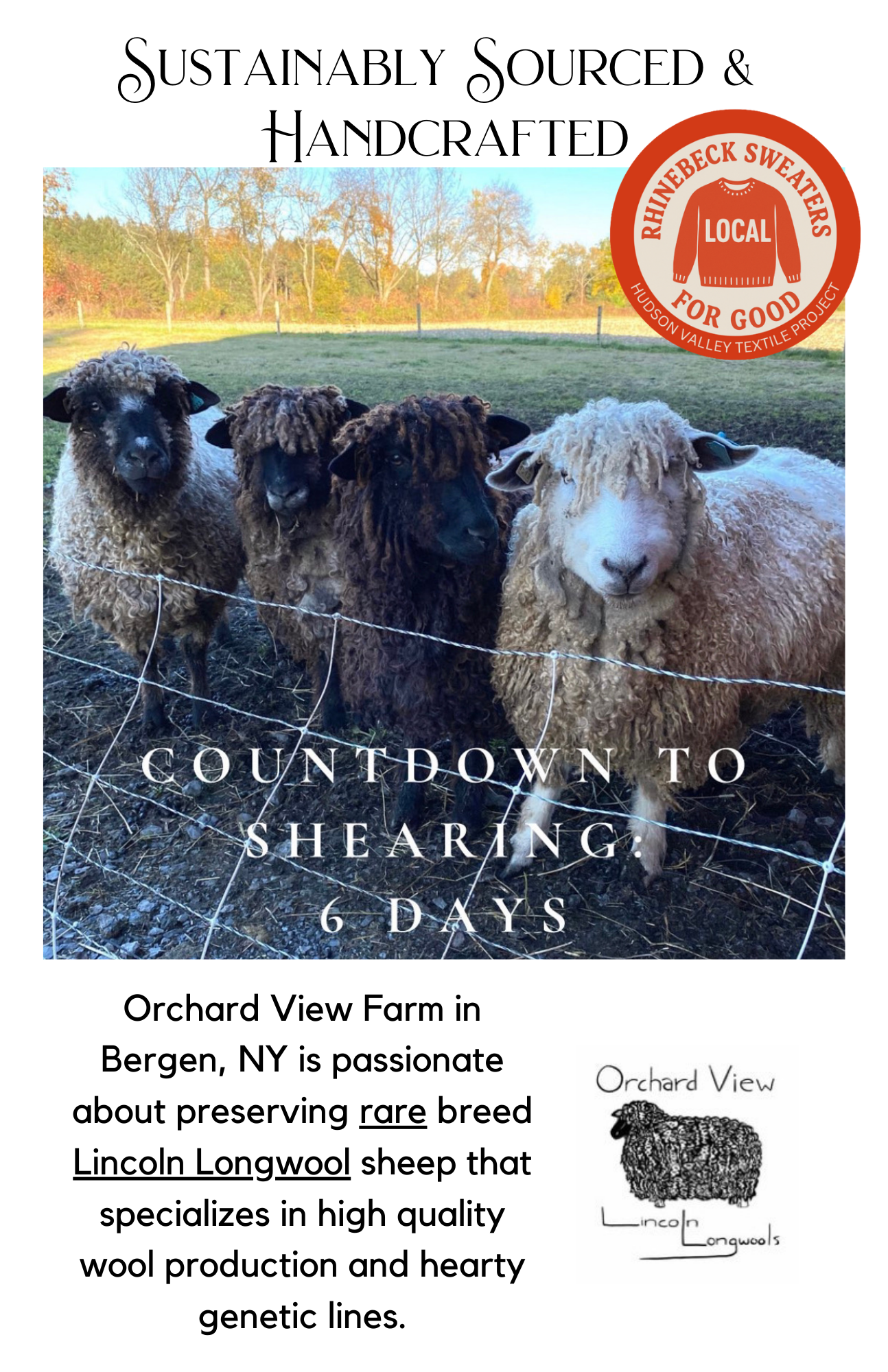 McIntosh Aran Yarn (NY)