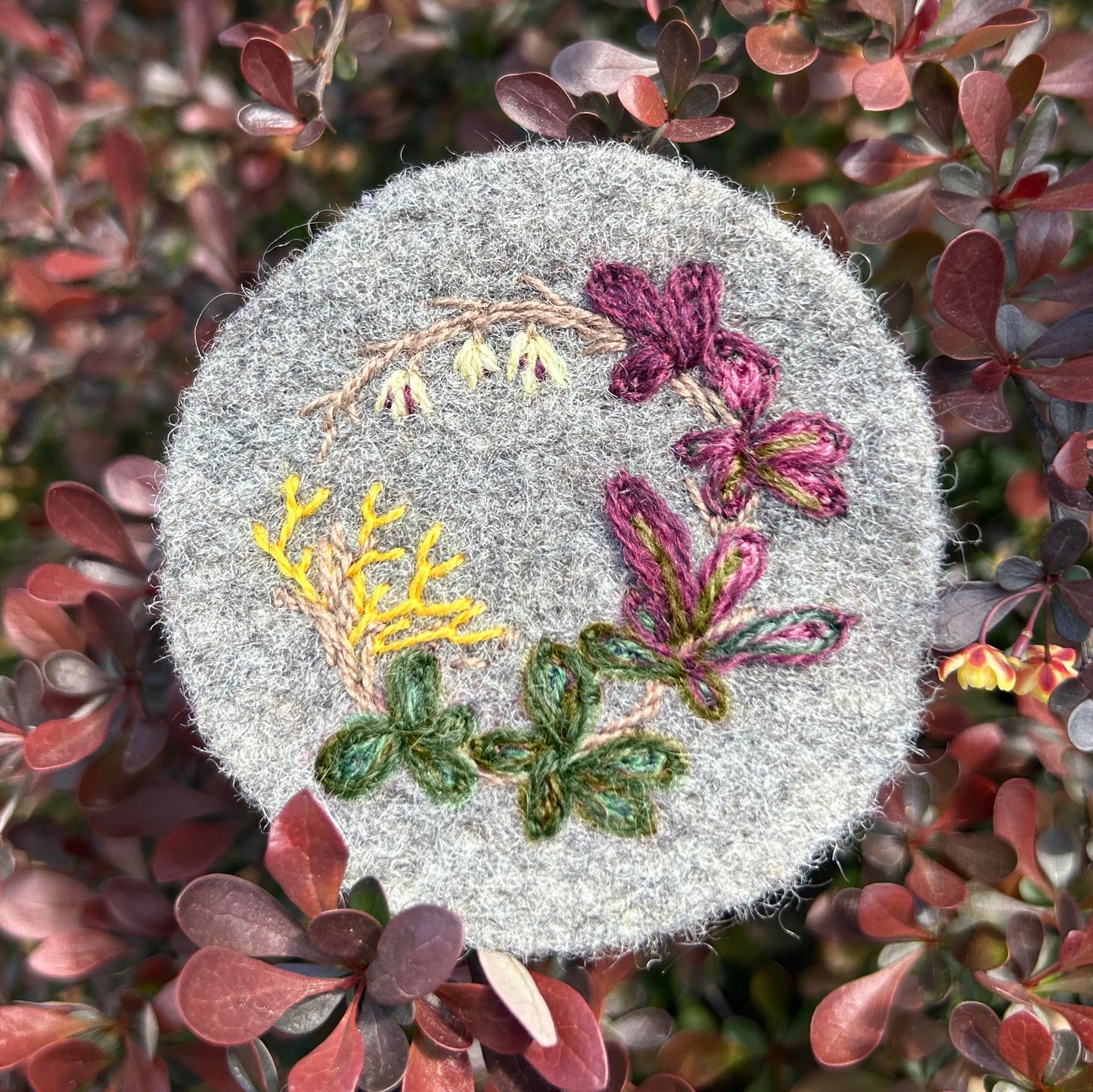 Invasive Species Embroidery Kits - (NY)